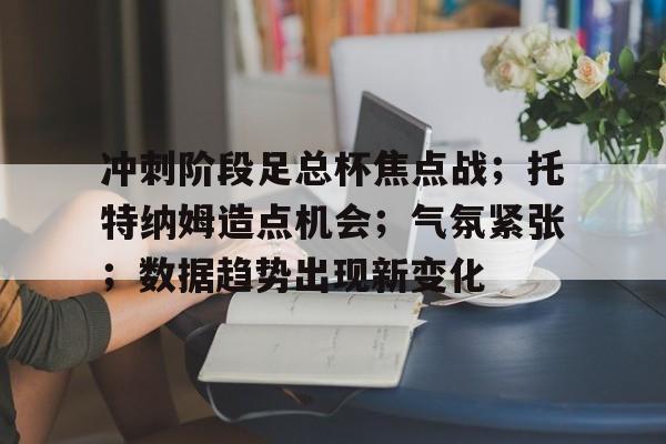 开云体育官网-包含冲刺阶段足总杯焦点战；托特纳姆造点机会；气氛紧张；数据趋势出现新变化的词条